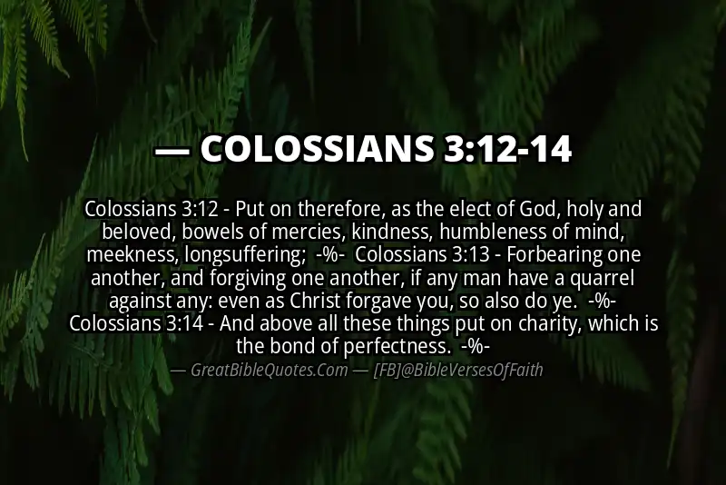 Image for COLOSSIANS 3:12-14 Bible verse