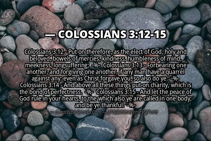 Image for COLOSSIANS 3:12-15 Bible verse