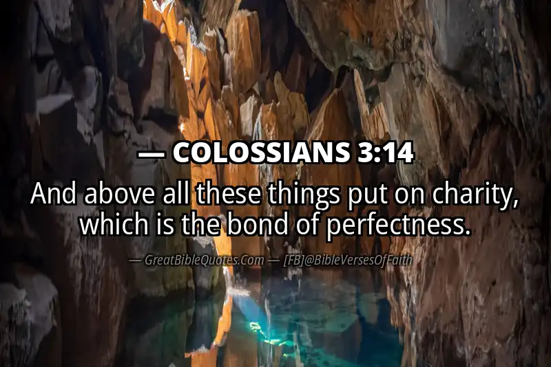 Bible verse: COLOSSIANS 3:14 Image