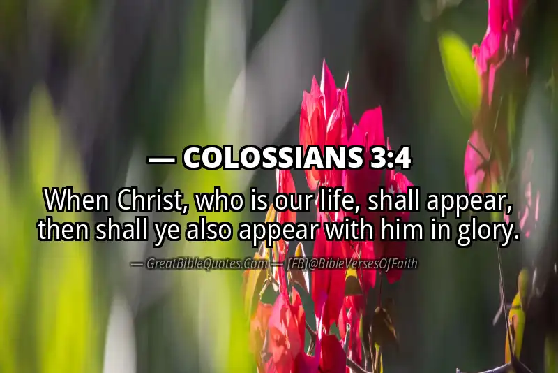 COLOSSIANS 3:4 Verse