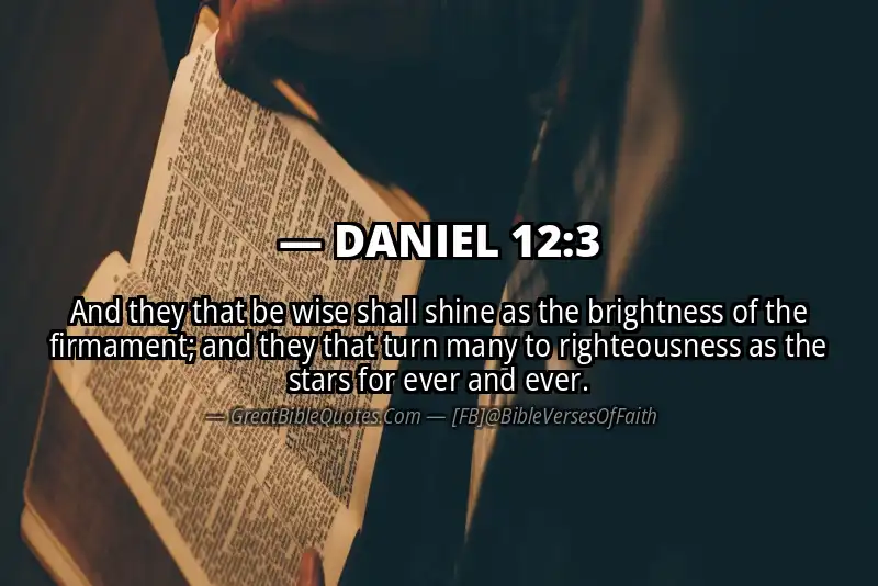 DANIEL 12:3 Verse