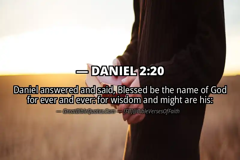 DANIEL 2:20 Verse