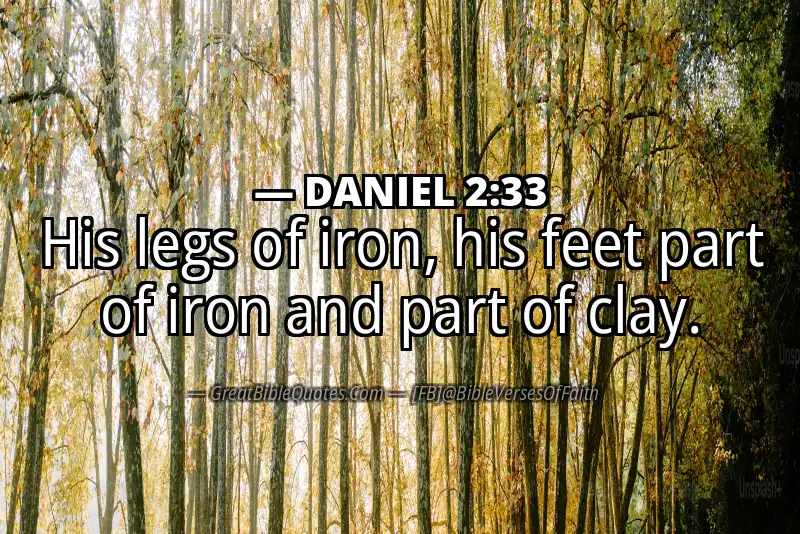 DANIEL 2:33 Verse