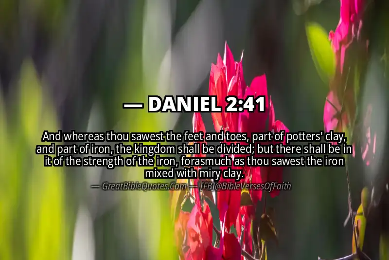 DANIEL 2:41 Verse