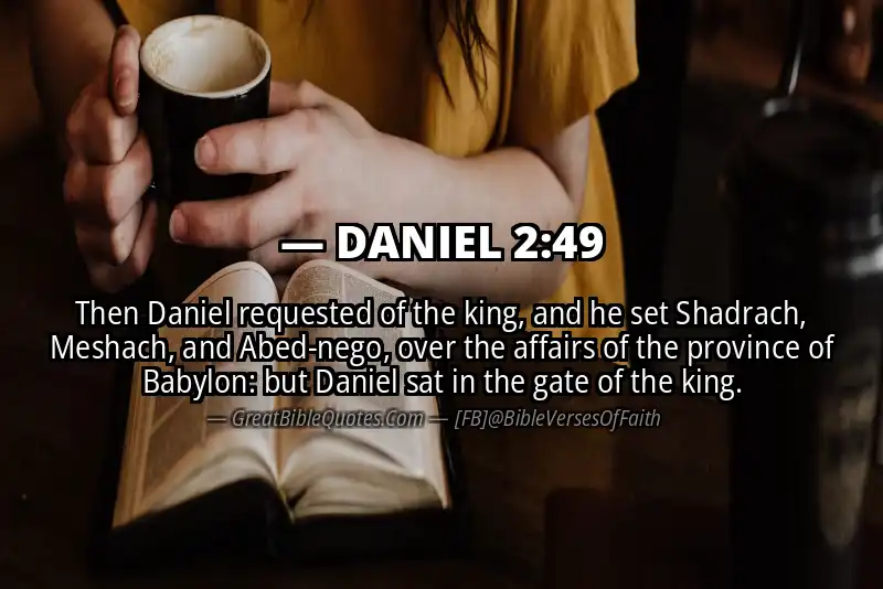 DANIEL 2:49 Verse Image