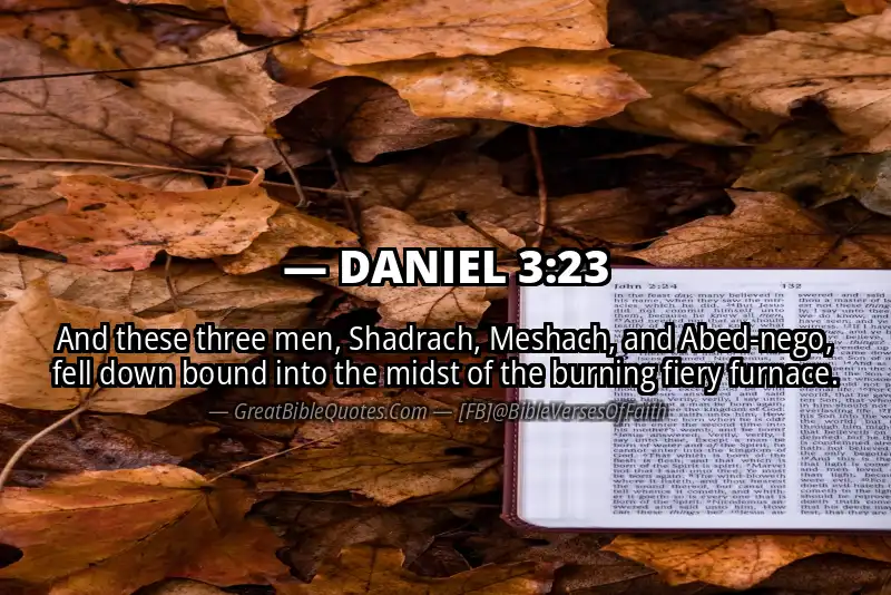 DANIEL 3:23 Verse