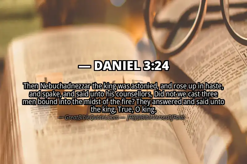 DANIEL 3:24 Verse