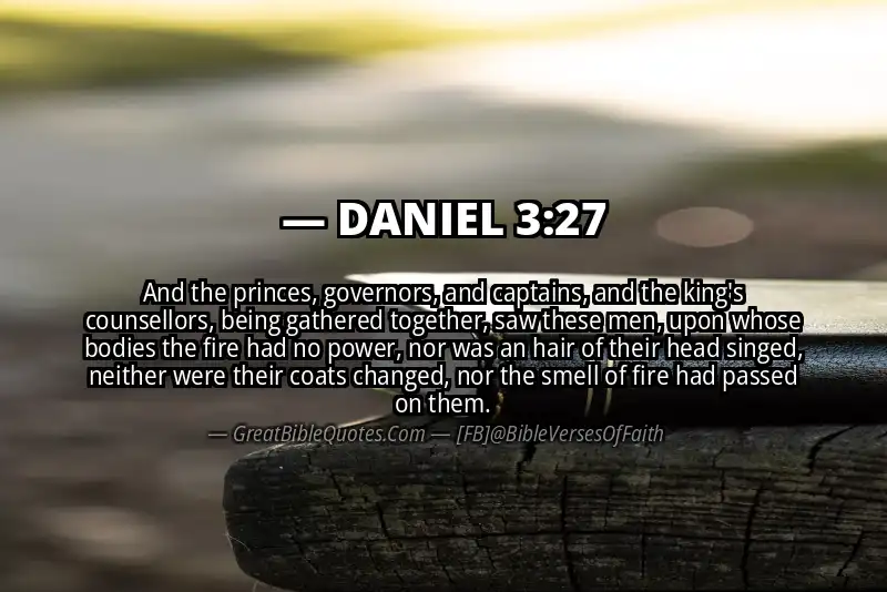 DANIEL 3:27 Verse