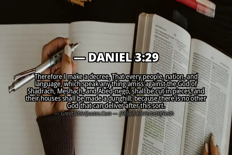 DANIEL 3:29 Verse