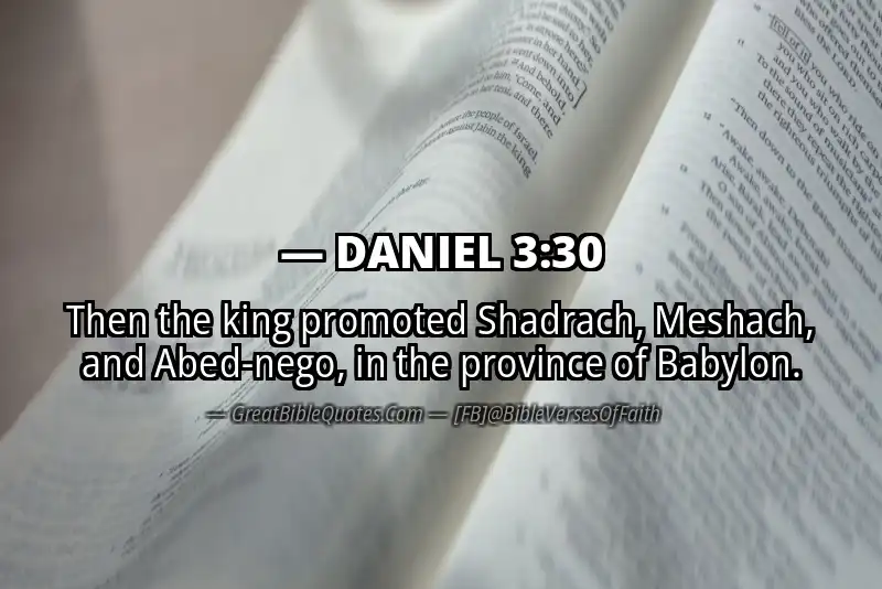 DANIEL 3:30 Verse