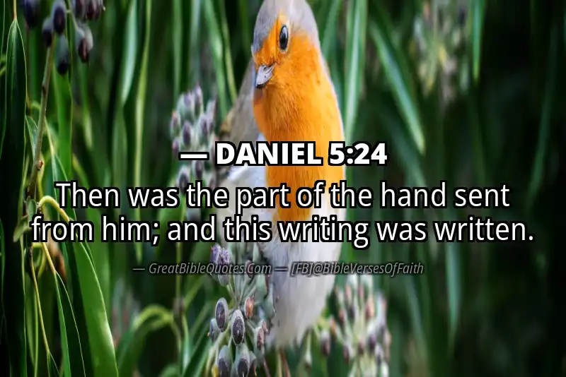DANIEL 5:24 Verse