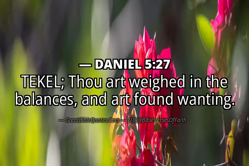 DANIEL 5:27 Verse