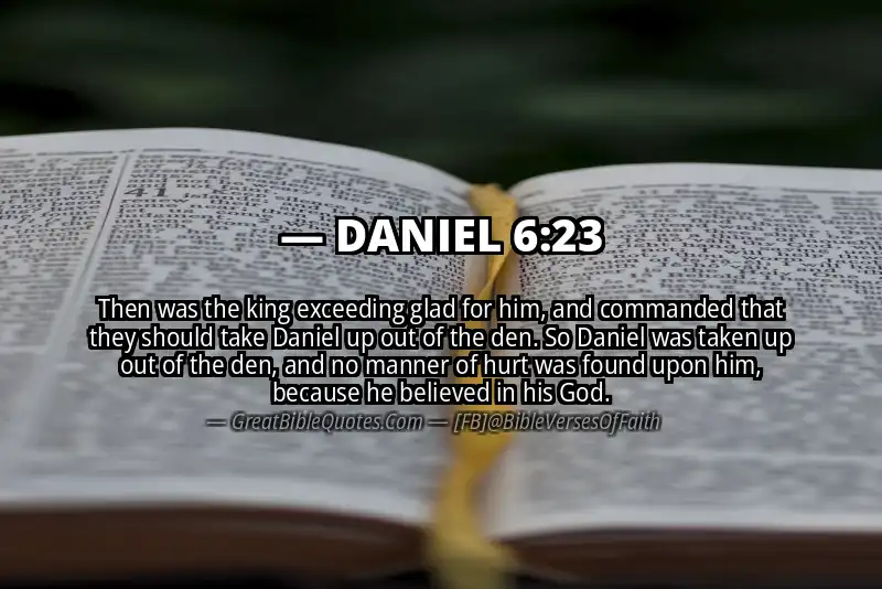 DANIEL 6:23 Verse Image
