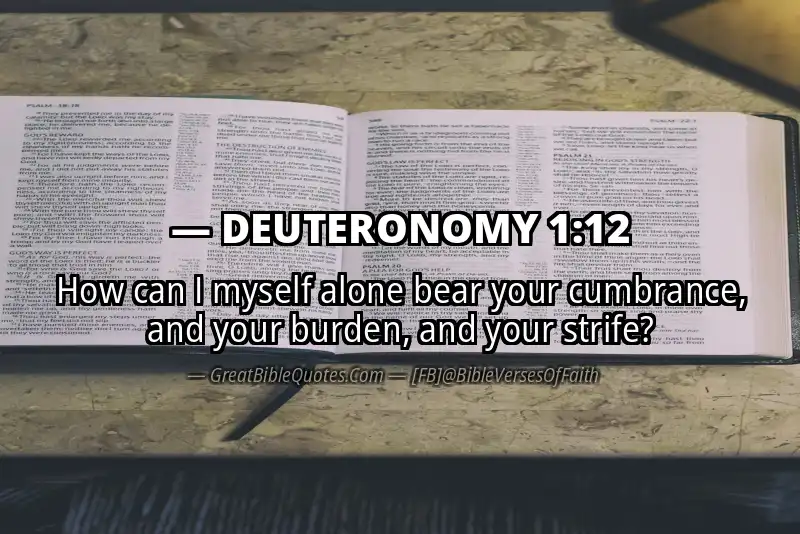 Bible verse: DEUTERONOMY 1:12 Image