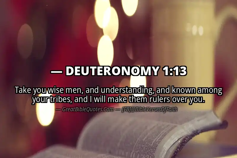 Bible verse: DEUTERONOMY 1:13 Image