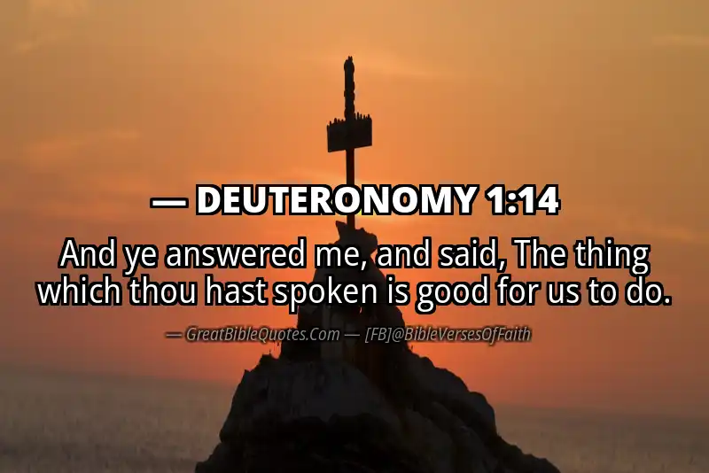 Bible verse: DEUTERONOMY 1:14 Image