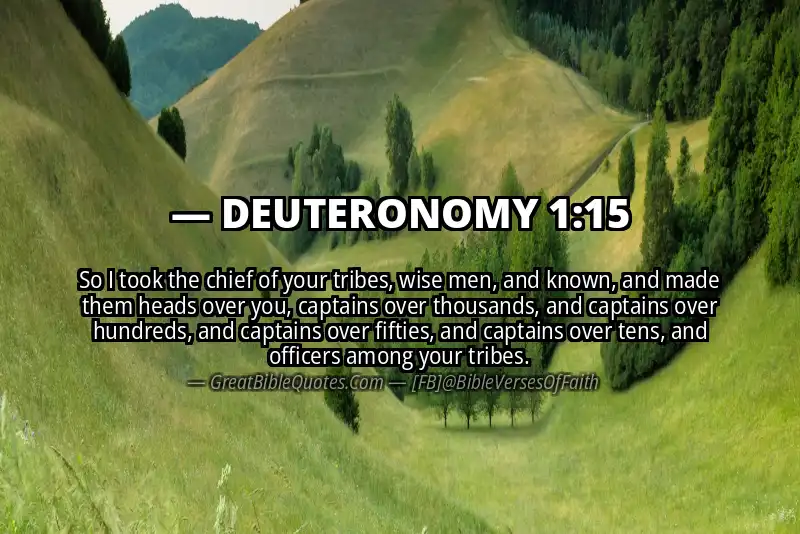 Bible verse: DEUTERONOMY 1:15 Image