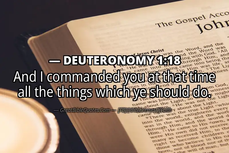 Bible verse: DEUTERONOMY 1:18 Image