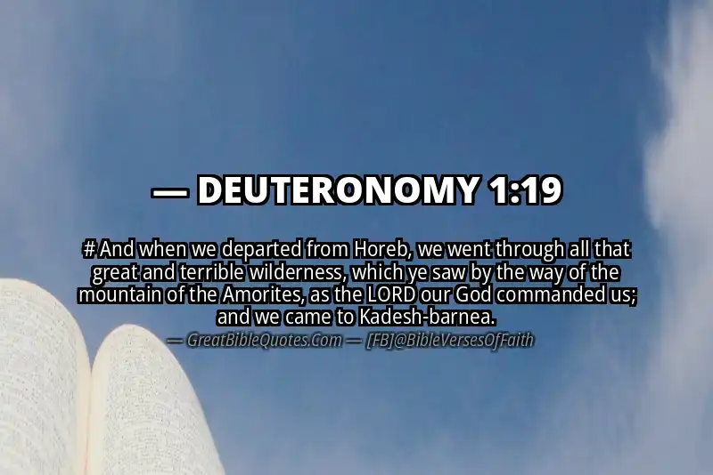 Bible verse: DEUTERONOMY 1:19 Image