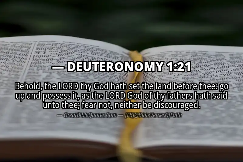 Bible verse: DEUTERONOMY 1:21 Image