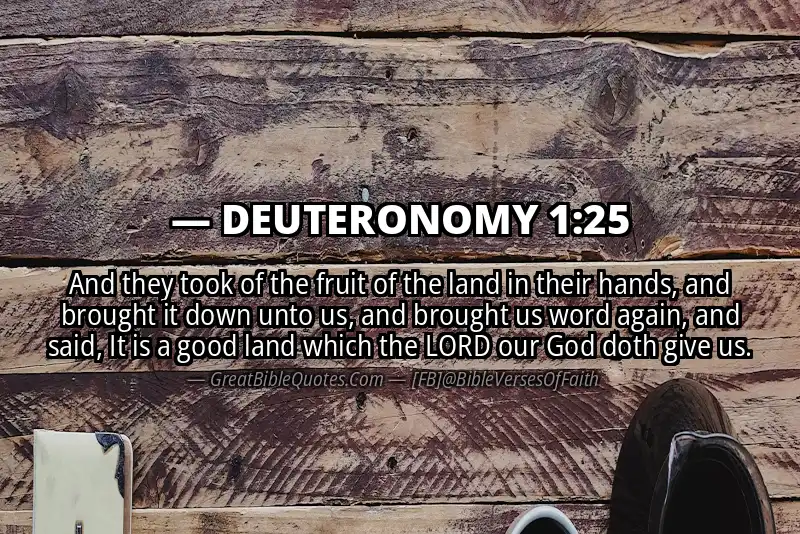 Bible verse: DEUTERONOMY 1:25 Image