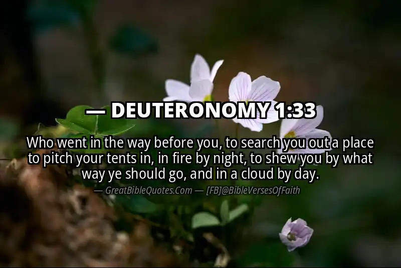 Bible verse: DEUTERONOMY 1:33 Image