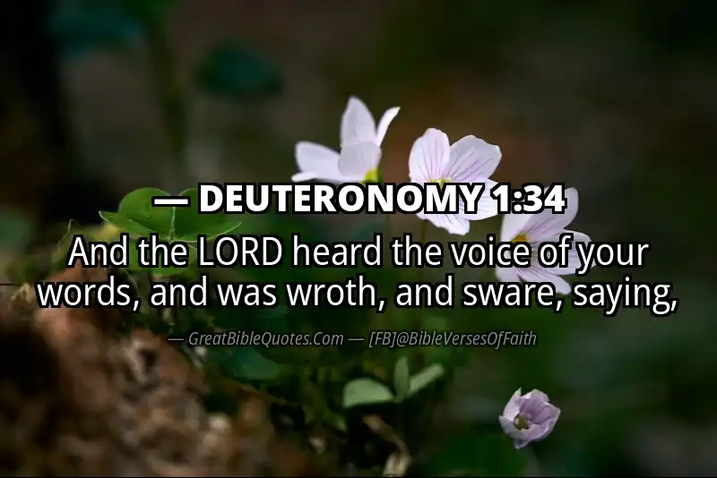 Bible verse: DEUTERONOMY 1:34 Image