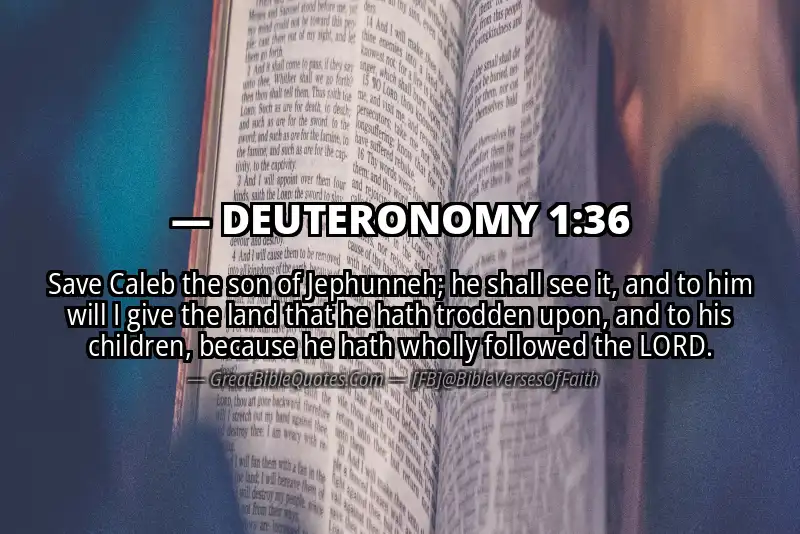 Bible verse: DEUTERONOMY 1:36 Image