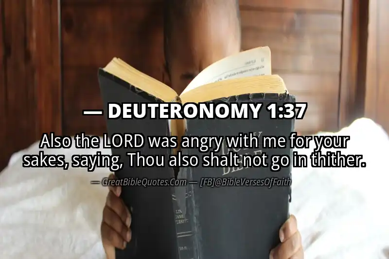 Bible verse: DEUTERONOMY 1:37 Image