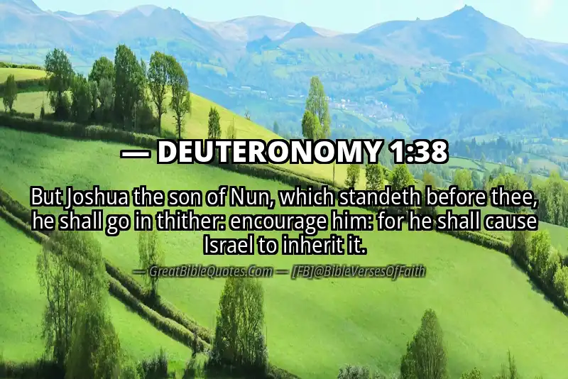 Bible verse: DEUTERONOMY 1:38 Image