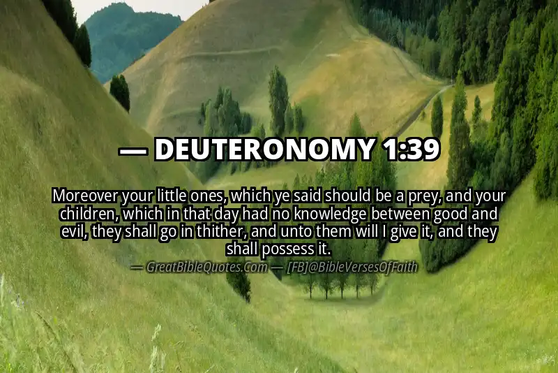 Bible verse: DEUTERONOMY 1:39 Image