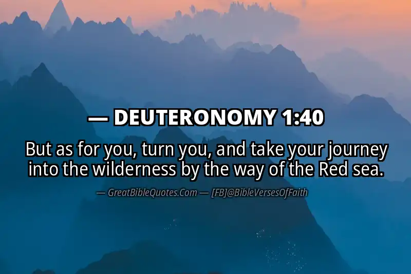 Bible verse: DEUTERONOMY 1:40 Image