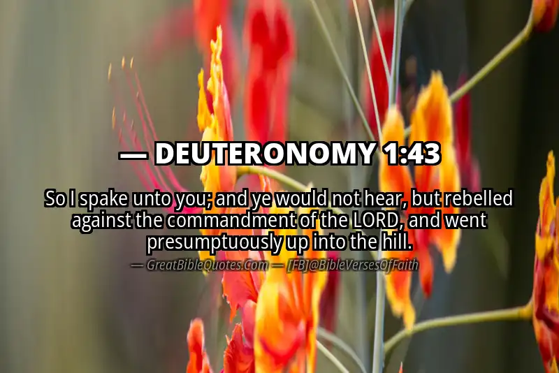 Bible verse: DEUTERONOMY 1:43 Image