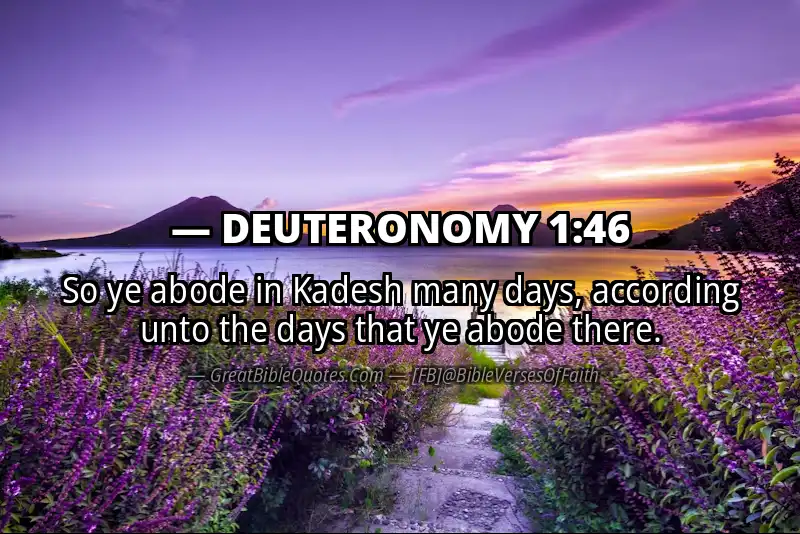 Bible verse: DEUTERONOMY 1:46 Image
