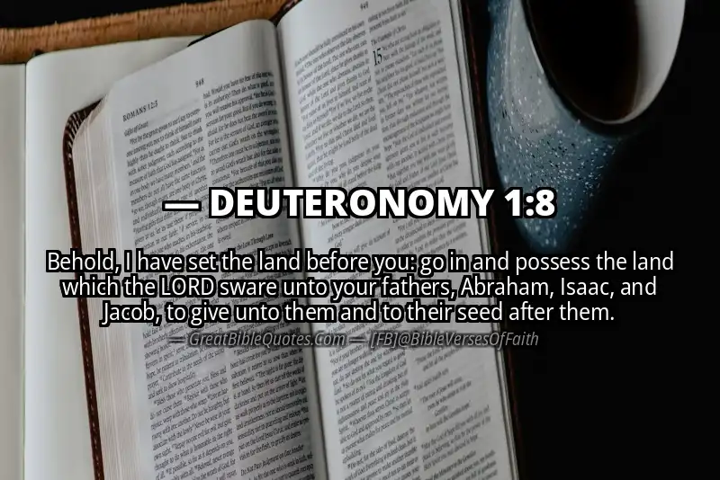 Bible verse: DEUTERONOMY 1:8 Image