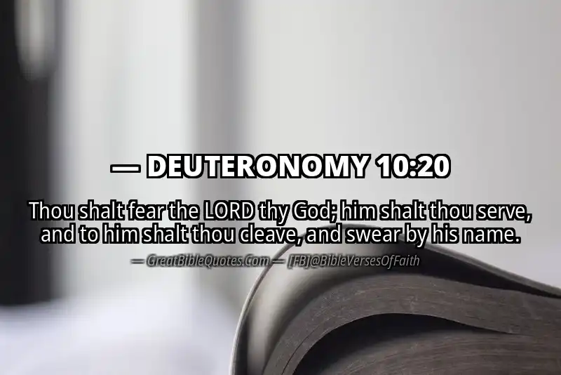 DEUTERONOMY 10:20 Verse