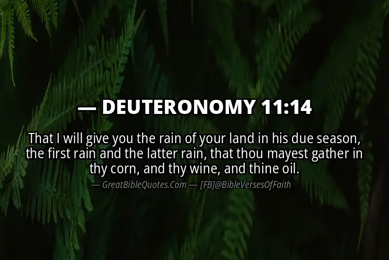 DEUTERONOMY 11:14 Verse Image
