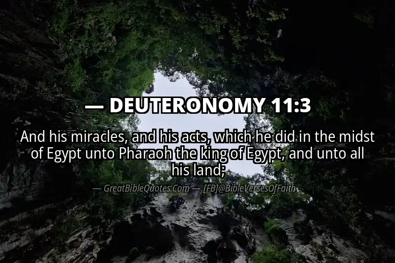 DEUTERONOMY 11:3 Verse