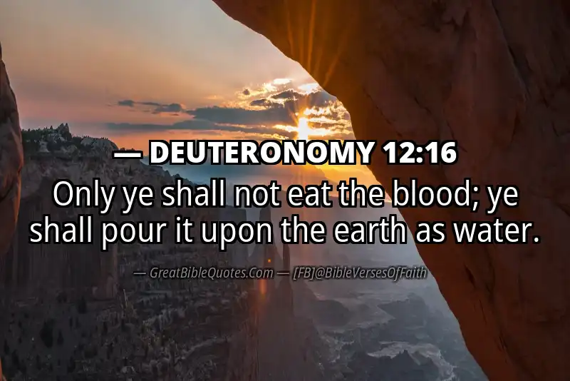 Bible verse: DEUTERONOMY 12:16 Image