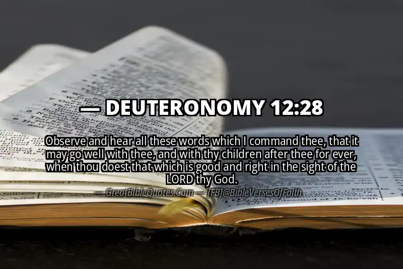 Bible verse: DEUTERONOMY 12:28 Image