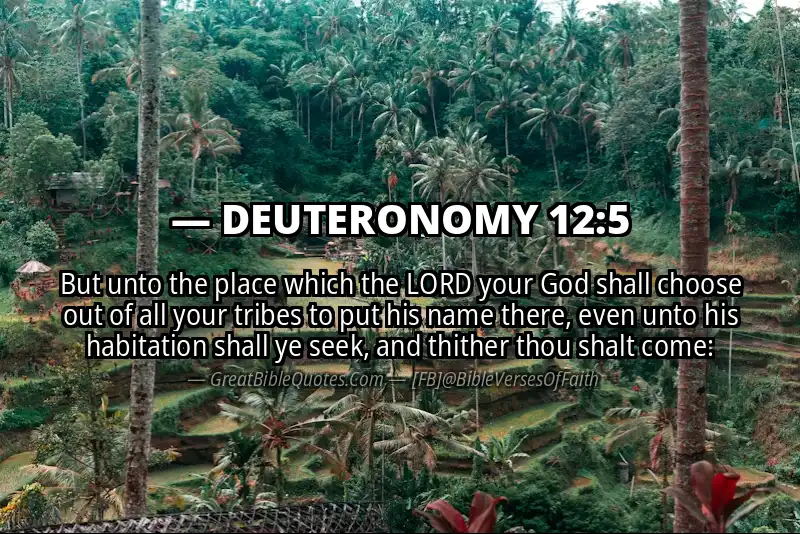 Bible verse: DEUTERONOMY 12:5 Image