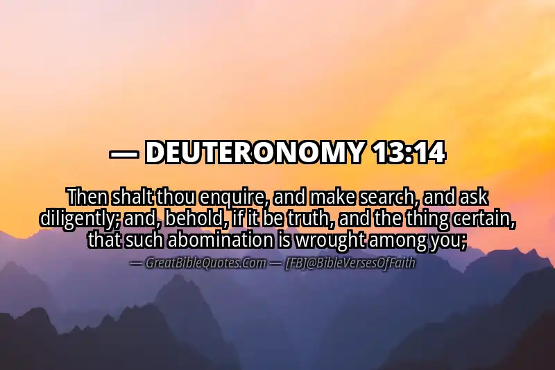 DEUTERONOMY 13:14 Verse