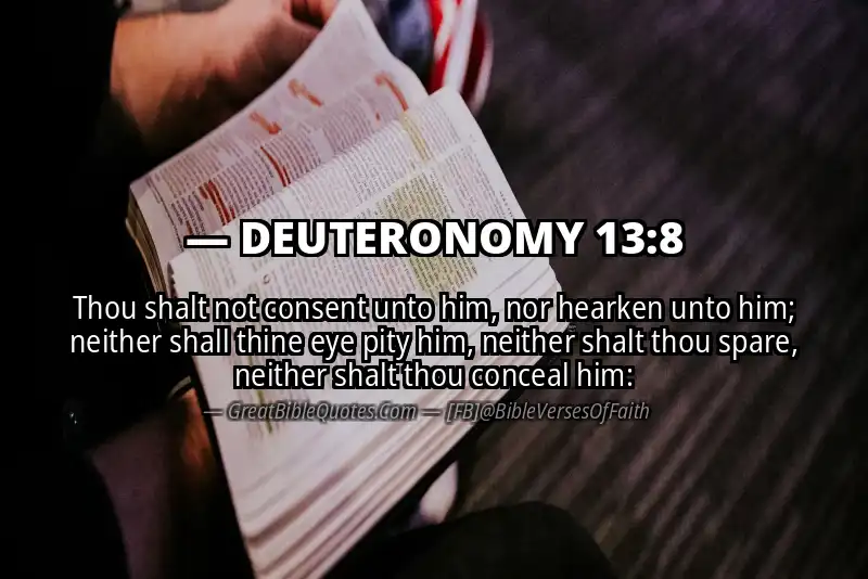 DEUTERONOMY 13:8 Verse Image