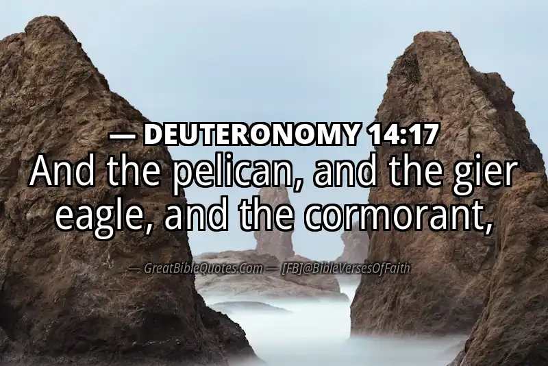 DEUTERONOMY 14:17 Verse