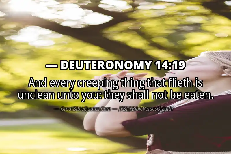 DEUTERONOMY 14:19 Verse