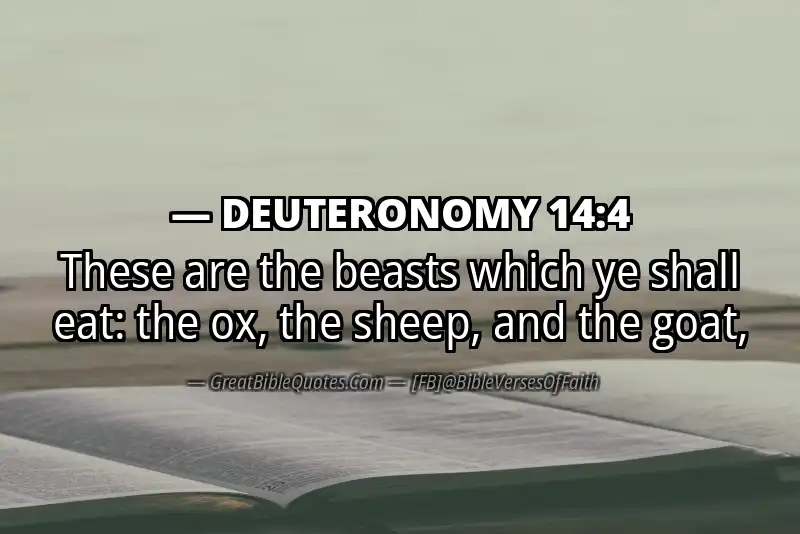 DEUTERONOMY 14:4 Verse