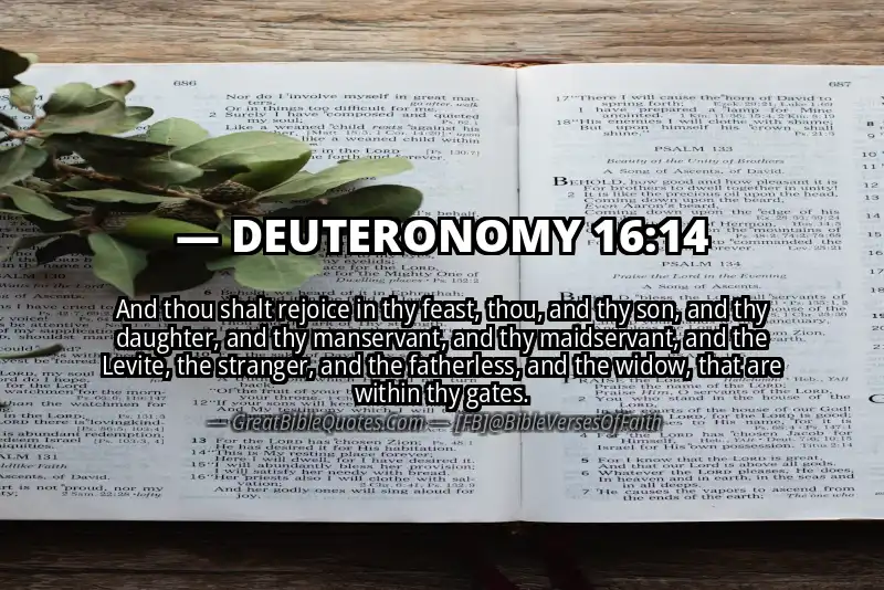 DEUTERONOMY 16:14 Verse