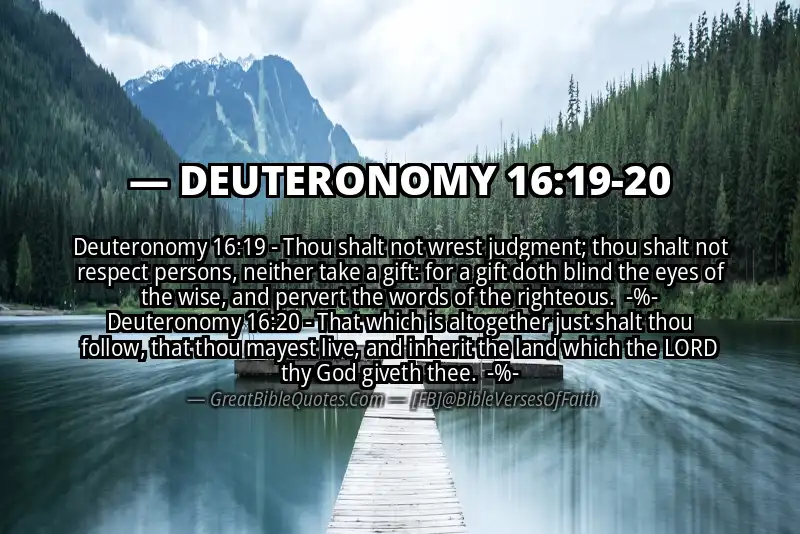 Image for DEUTERONOMY 16:19-20 Bible verse
