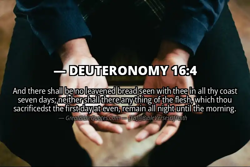 DEUTERONOMY 16:4 Verse