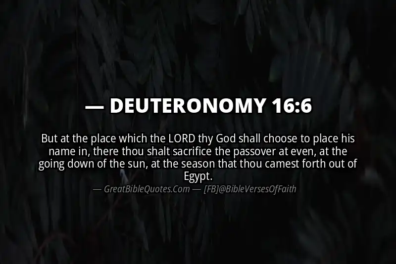 DEUTERONOMY 16:6 Verse